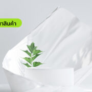 ภาพโฆษณาสินค้า