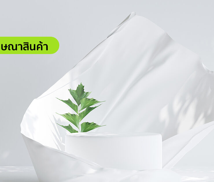 ภาพโฆษณาสินค้า